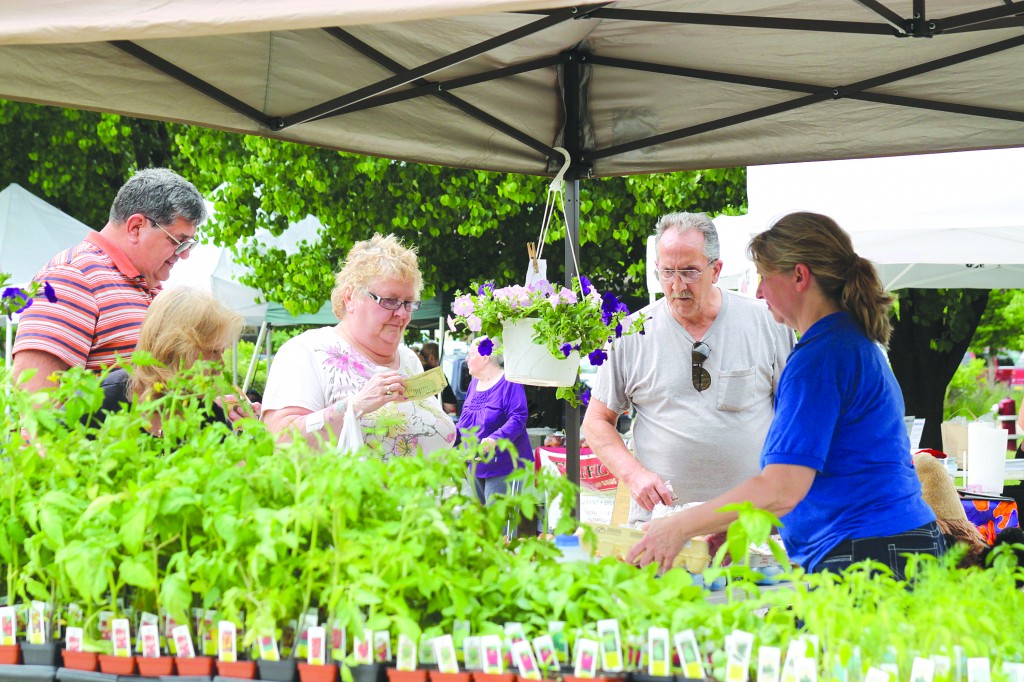 The Wayne Farmers Market will be open every Wednesday from 3-7 p.m. at Goudy Park, behind Wayne City Hall, 3355 S. Wayne Road until Oct. 29.  