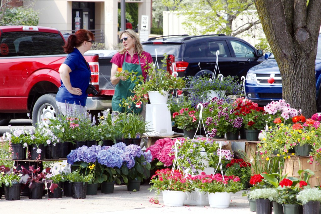 Colette McClinton from Garden Fantasy Greenhouse and Florist helps a customer choose the perfect spring plant. Photo by John P. Rhaesa